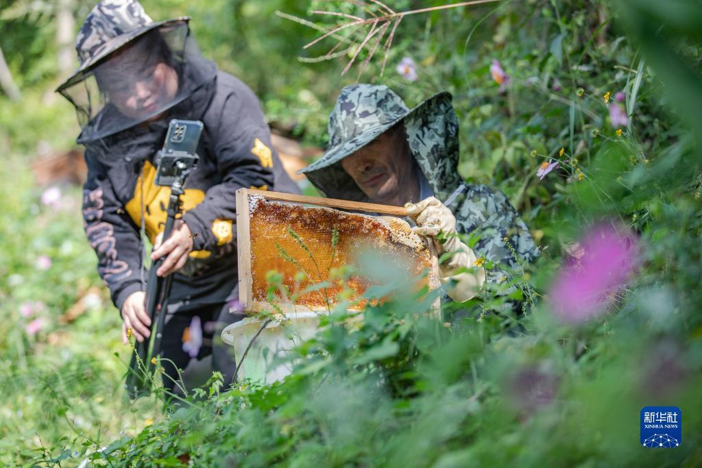 利豪棋牌手机官网